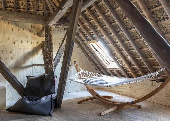 In Near Sea And Forest *